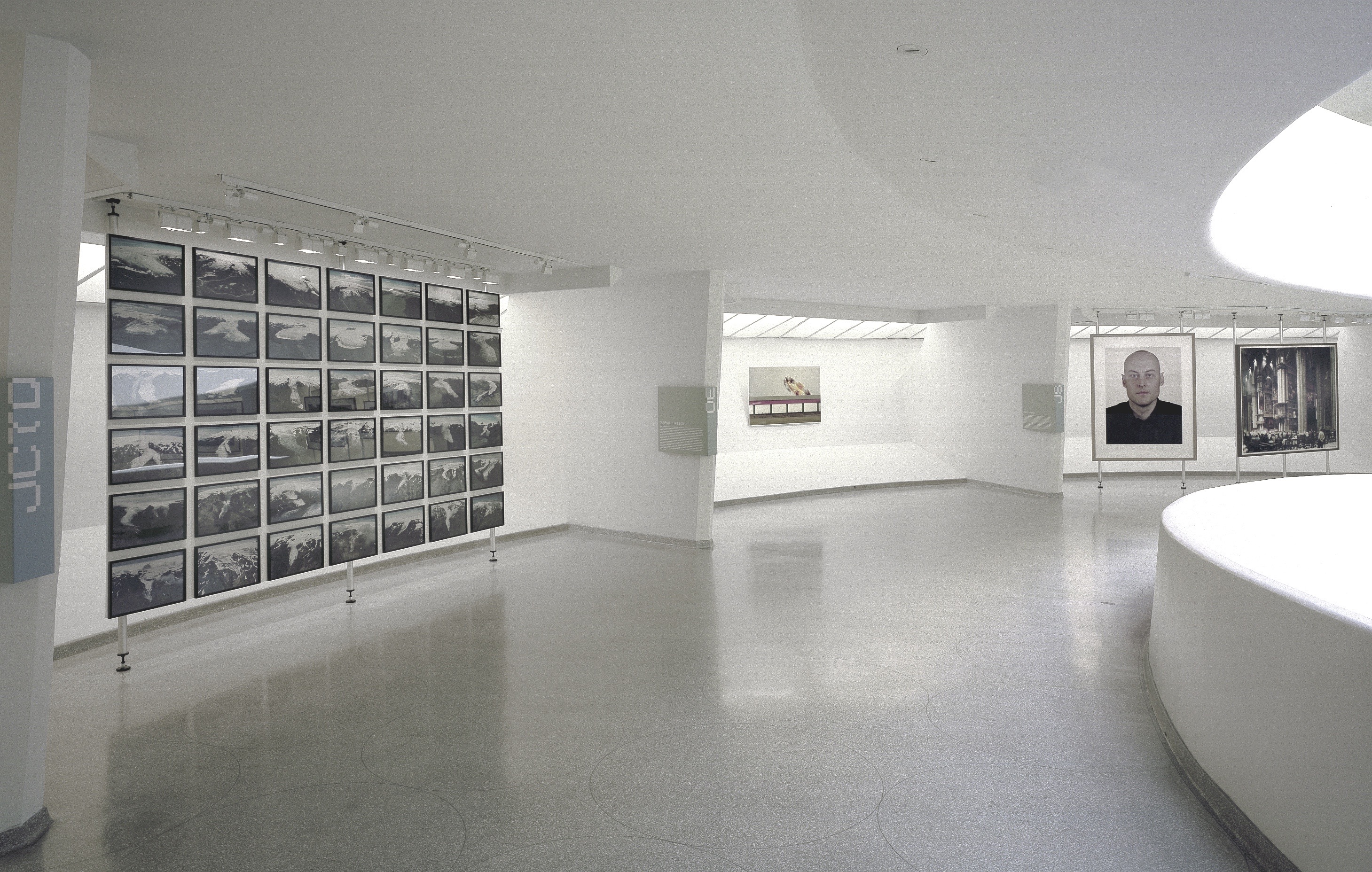 Gallery level view of Moving Pictures at the Guggenheim — grid of photographs on the curved wall with the rotunda's organic forms visible beyond