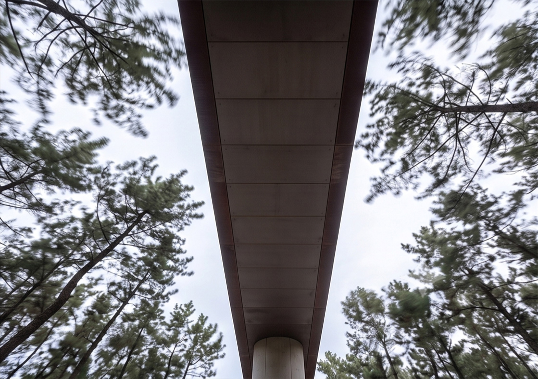 Looking straight up at the underside of the Cor-ten gallery bridge, framed on both sides by pine canopy against a soft sky
